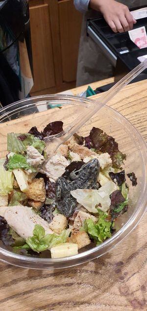 Mulher encontra rã em salada de restaurante e denuncia nas redes sociais
