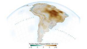 El Amazonas se seca y la NASA apunta al hombre como responsable