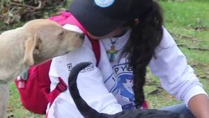 ¡Aproveche! Jornadas de esterilización para perritos y gatos en todo Bogotá