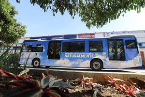 Esta será la imagen que lucirán los buses eléctricos que circularán en Medellín