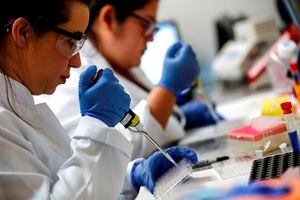 Estudio halló partículas de coronavirus en aguas residuales de Quito