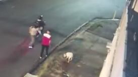 Perrito recibe un tiro al salvar a su dueño de un atraco
