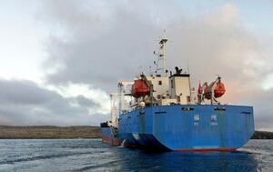 Tiburones sin aletas, inmaduros y no nacidos, lo que detalla la investigación del barco chino detenido en Galápagos en el 2017