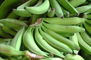 Denuncian importación de bananos con pesticidas carcinógenos