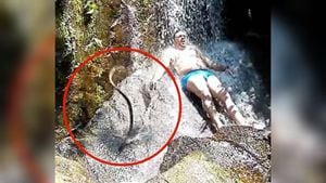 ViÌdeo mostra cobra caindo ao lado de homem em cachoeira e situação termina em pânico