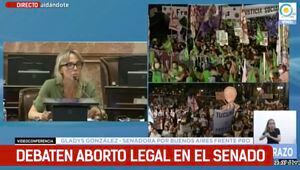 La aplaudida intervención de senadora en votación de legalización del aborto en Argentina
