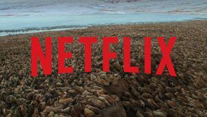 Nosso Planeta: Cena de série da Netflix está chocando os espectadores