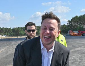 Elon Musk apoya el uso de éxtasis y psicodélicos: ¿Por qué?