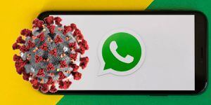 WhatsApp: OMS lanza bot oficial para consultar dudas sobre el Coronavirus en español