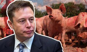 Elon Musk bajo investigación: más de 1.500 animales murieron en pruebas de su empresa, Neuralink