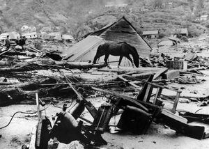 Tres terremotos, un devastador tsunami y una explosión volcánica en horas: así fue el mayor cataclismo de la historia que afectó a Valdivia en 1960