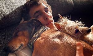 Miguel Herrán compartilha foto com o cãozinho 'Coye' e causa furor nas redes sociais