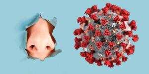 Coronavirus: app valida la pérdida de olfato y gusto como síntomas recurrentes de Covid-19