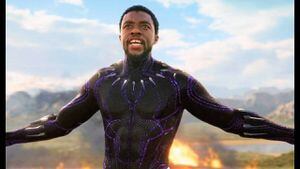 Black Panther: filtran imágenes de las últimas horas de Chadwick Boseman