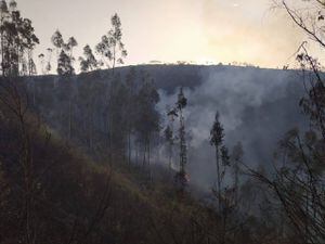 Bomberos de Quito logran controlar el incendio en el cerro Ilaló