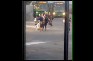Le llamaron la atención por colarse en TransMilenio y decidió pegarle a un perro guardián