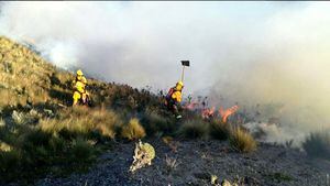 Bomberos de Quito realizan labores de combate y extinción de incendio forestal en el cerro Atacazo