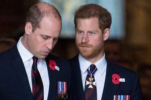 La ruda reacción del príncipe William al anuncio de Meghan y Harry de separarse de la realeza