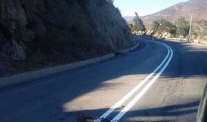Sólo pasa en Chile: pintaron la carretera y también a un perrito atropellado que quedó en la ruta