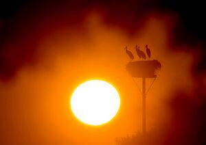 Ola de calor en Australia rompe todos los récords y alcanza el día más cálido del que se tenga registro