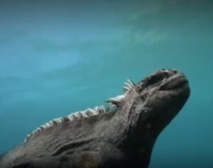 ¿Godzilla es real?: encuentran una versión miniatura del monstruo japonés en Islas Galápagos