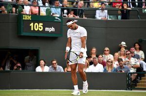 Nadal perdió una "guerra", Murray a paso firme y Federer demolió a su rival en Wimbledon