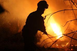 Brigadistas podrían paralizar sus labores en medio de la crisis por incendios en La Araucanía