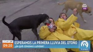 "Lanzazo en vivo": El particular y divertido "robo" de un perro a Joaquín y Karol Lucero en "Mucho Gusto"
