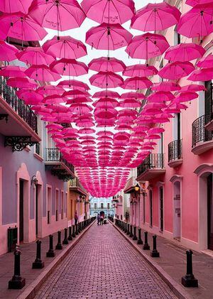 Paseo de las sombrillas vuelve a teñirse de rosa