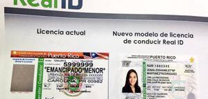 Senado aprueba cambios para obtener identificación Real ID