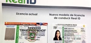 Estos son los pasos para sacar por Internet la licencia de aprendizaje para conducir