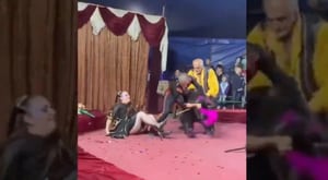 Vídeo impressionante registra momento em que urso ataca domadora em circo durante apresentação