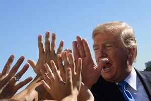 Donald Trump declaró la "emergencia de salud pública" por la adicción a los opiáceos