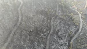 Imágenes aéreas muestran alcance de los daños causados ​​por los incendios forestales en Grecia