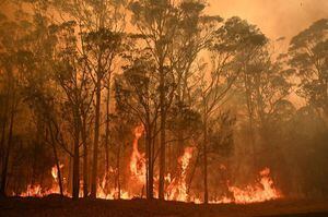 Australia: la razón tras la enorme cantidad de incendios que azota el país