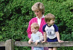 Así se enteraron William y Harry de la trágica muerte de su madre, la princesa Diana