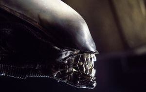 Viajero del tiempo revela que la Tierra será invadida por extraterrestres este año: “Será el fin del mundo”
