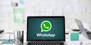 Cinco truques curiosos do WhatsApp Web que talvez você não conhecia