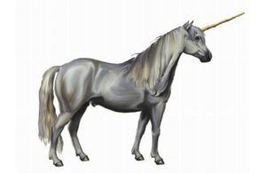 ¿El unicornio realmente existió? Científicos encuentran fósil de una criatura similar de hace 29 mil años