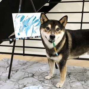 Cão pintor ganha mais de 17 mil dólares com seus quadros