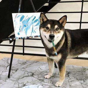 Cão pintor ganha mais de 17 mil dólares com seus quadros
