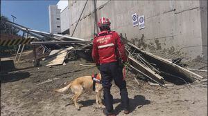Quito: Cuatro heridos por colapso estructural en Carapungo