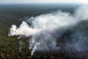 Incendios en el Amazonas dejarán enfermedades, menos agua y extinción