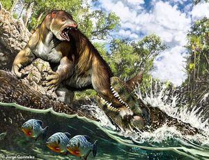 Pré-História: crocodilo que viveu no Acre tinha mordida mais forte que de Tiranossauro Rex