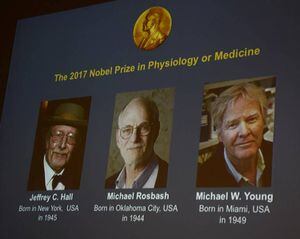 Investigadores estadounidenses ganaron Nobel de Medicina por explicar cómo funciona el "reloj biológico"