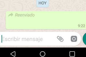 La sencilla forma de reenviar un mensaje de WhatsApp sin que aparezca la palabra "reenviado"