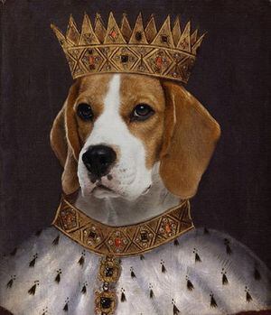 De estar al borde de la muerte a la Corona británica: el perro de Meghan Markle que vivirá como un rey