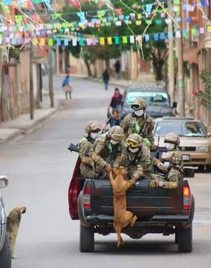 La verdadera historia de los perritos subiéndose a la camioneta militar en Bolivia