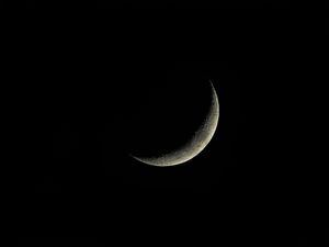 La Luna Llena en Virgo ayudará a aclarar las confusiones amorosas