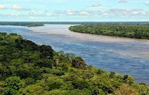 Ambiente: la selva del Amazonas emite más dióxido de carbono del que absorbe